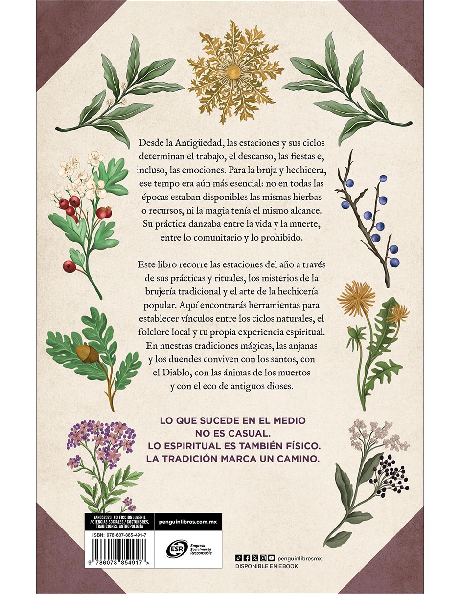 Libro Almanaque De La Bruja Tradicional de Solitude Of Alanna 2