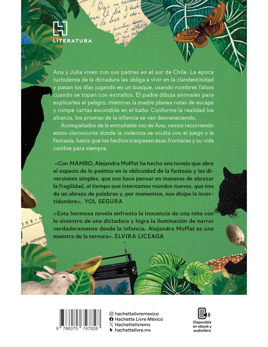Libro Mambo de Alejandra Moffa 2