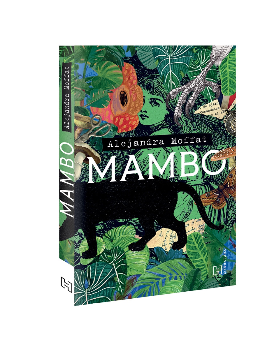 Libro Mambo de Alejandra Moffa 3