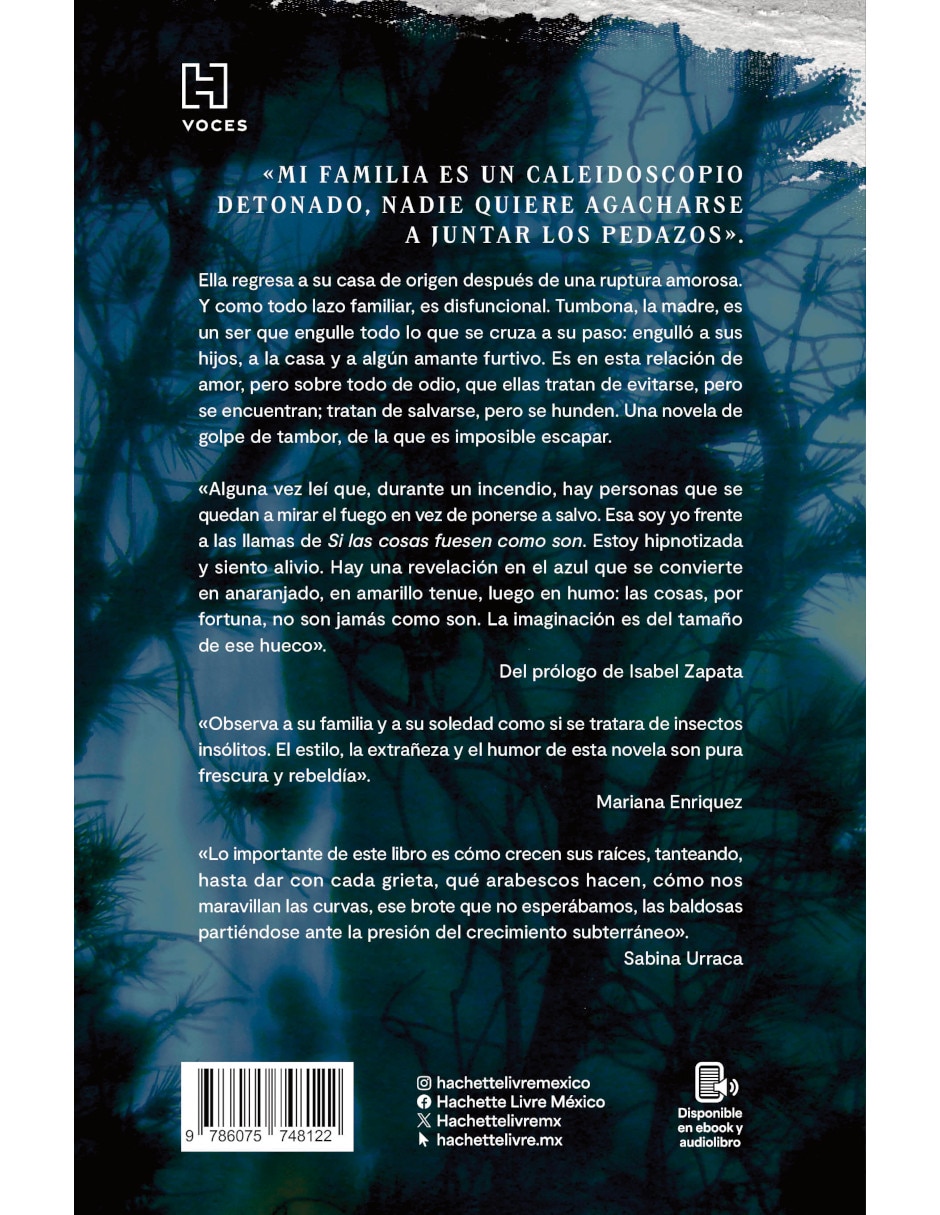 Libro Si Las Cosas Fuesen Como Son de Escobar Dobrzalovski, Gabriela 2