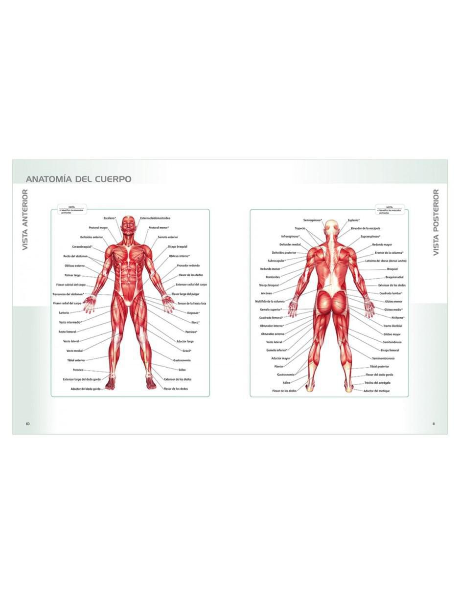Libro Anatomía de Ejercicios Sin Pesas de Hollis Lance Liebman 4