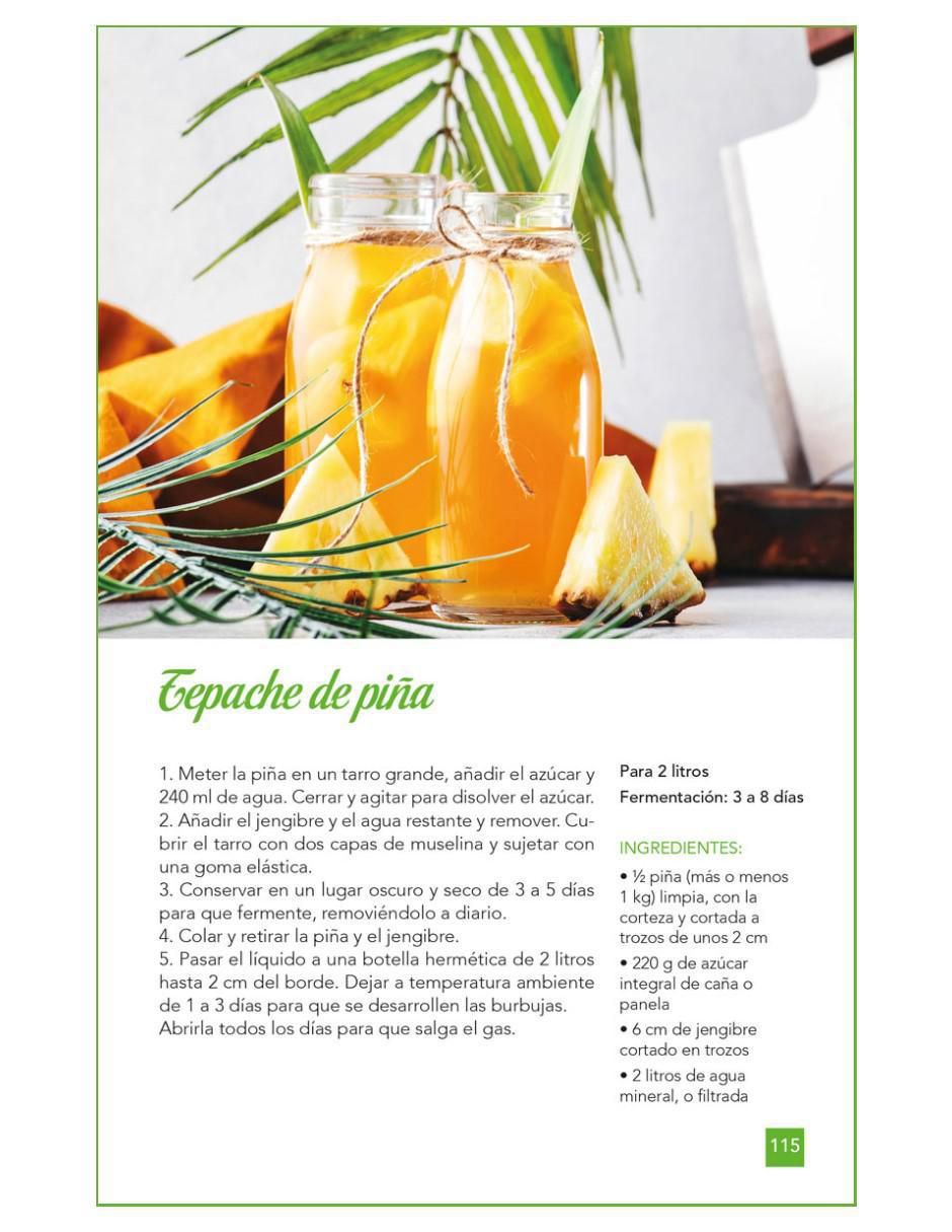 Libro Guia Facil De Fermentacion de Laura Torres 2
