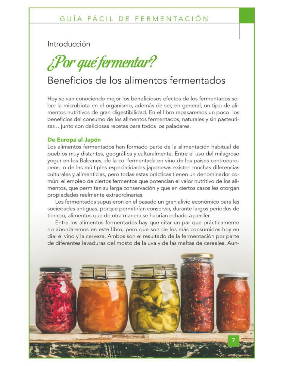 Libro Guia Facil De Fermentacion de Laura Torres 4