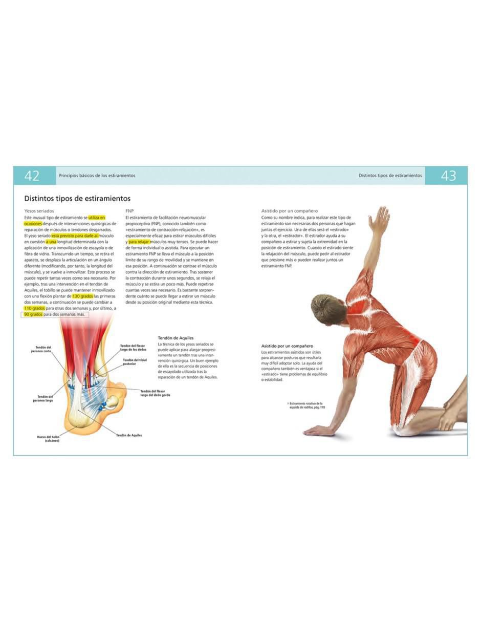 Libro Anatomía de los estiramientos de Ken Ashwell 2