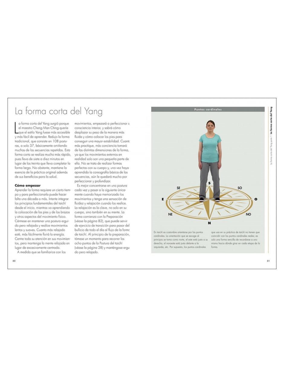Libro Taichí de Kim Davies/Simon Robins 2