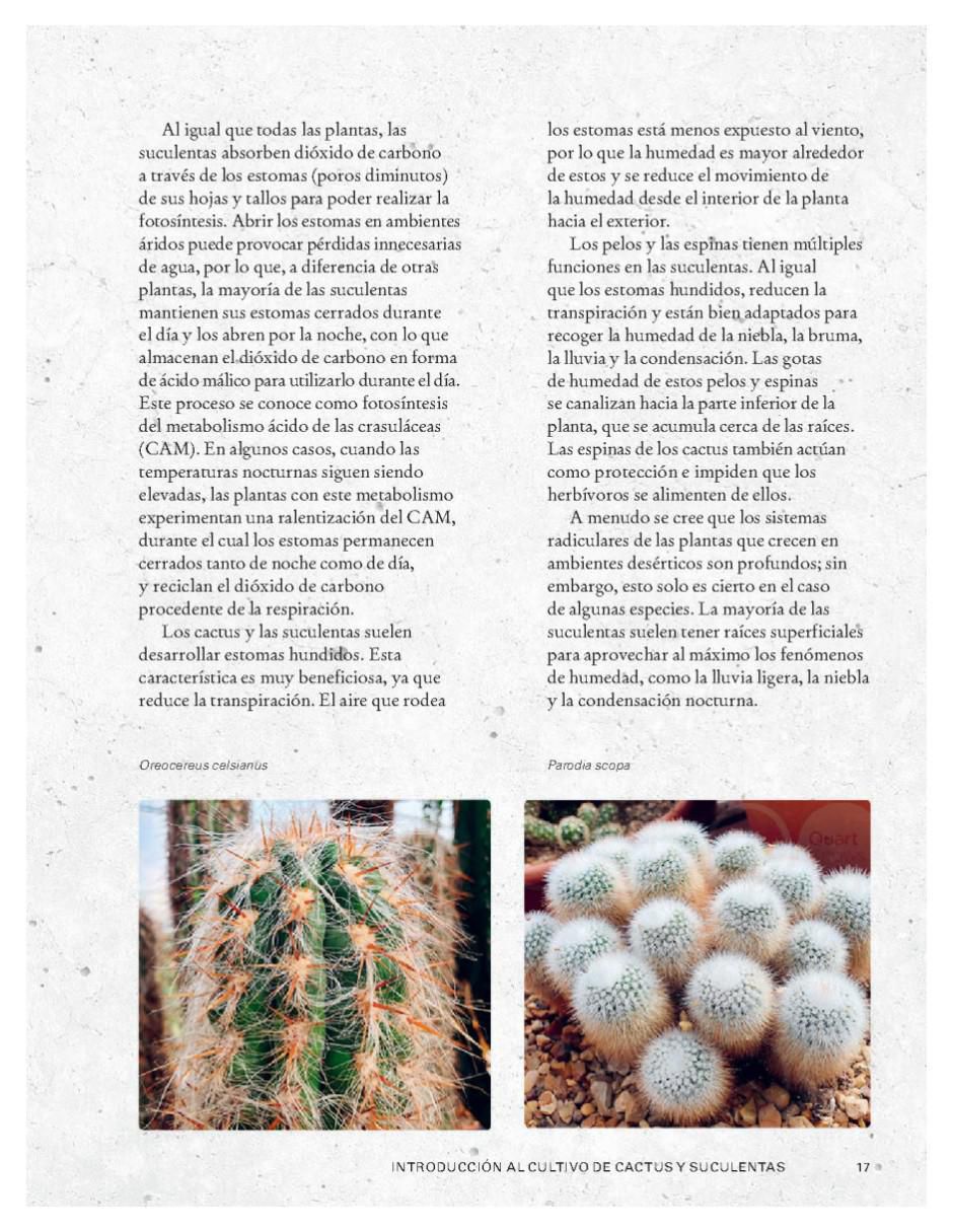 Libro Cultivar cactus y suculentas - guía de jardinería de Paul Rees/Royal Botanic Gardens 3