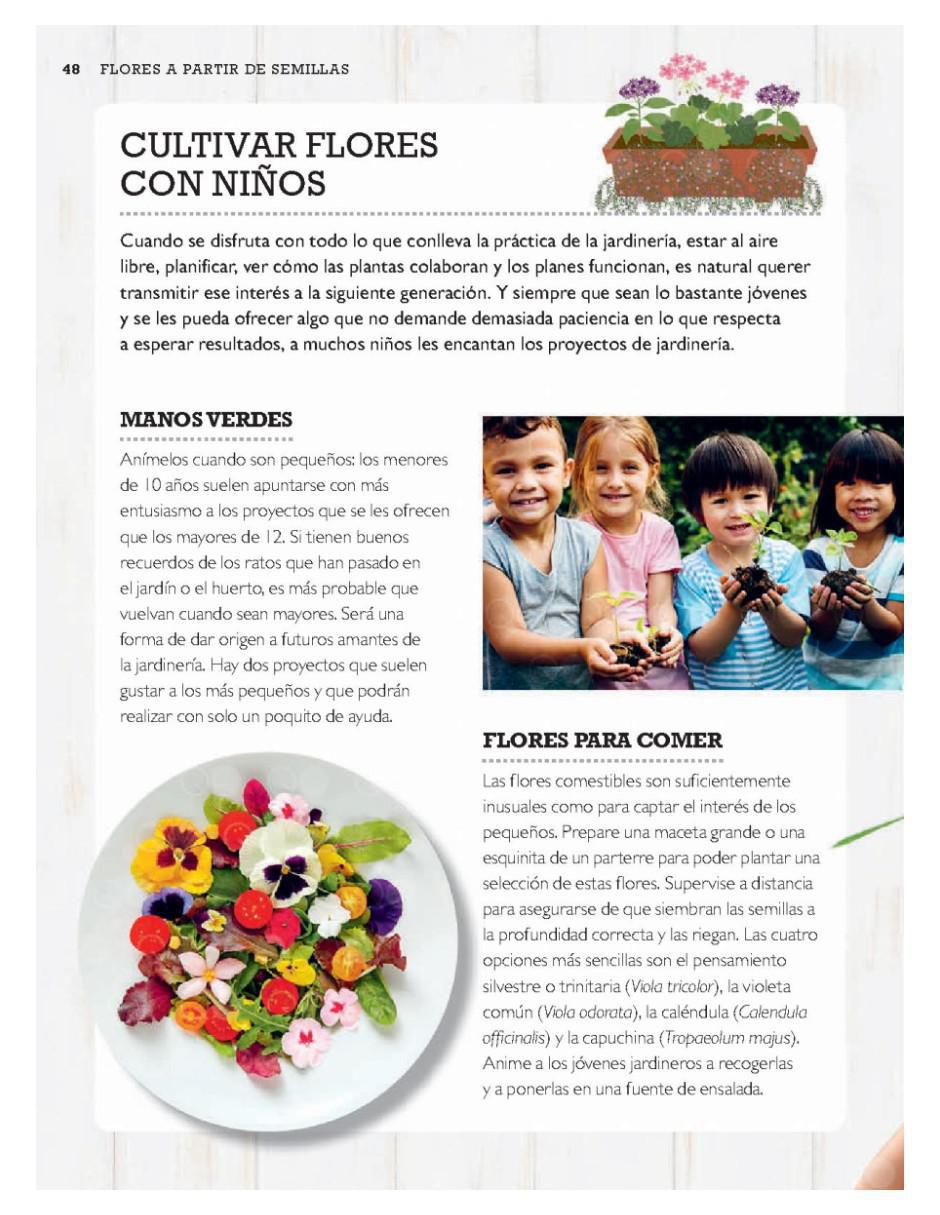 Libro Cultivar plantas a partir de semillas - sembrar flores, hortalizas, plantas de Sophie Collins/Melissa Mabbitt et al 2