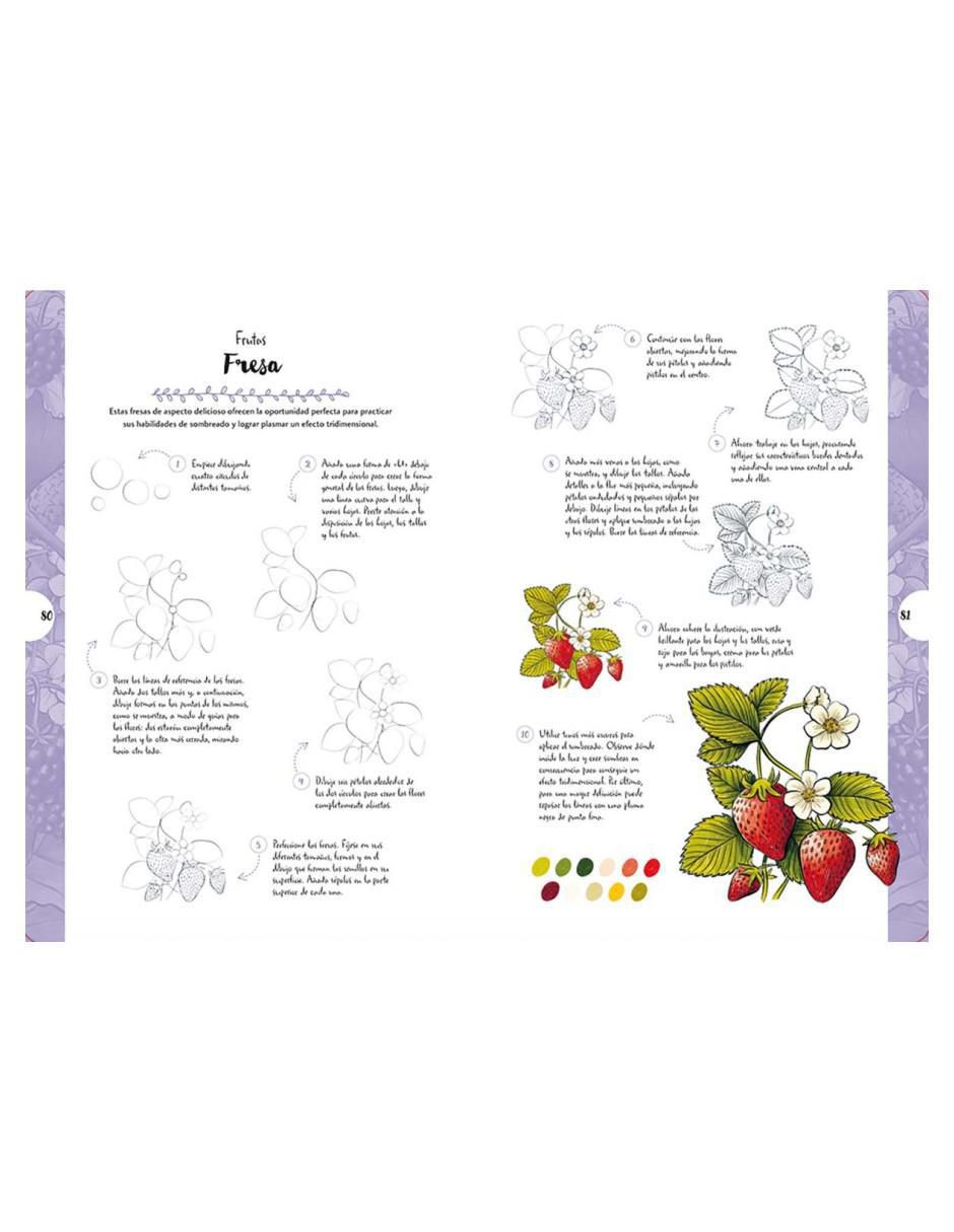 Libro Dibujar en 10 pasos: Flores y plantas silvestres de Justine Lecouffe 2