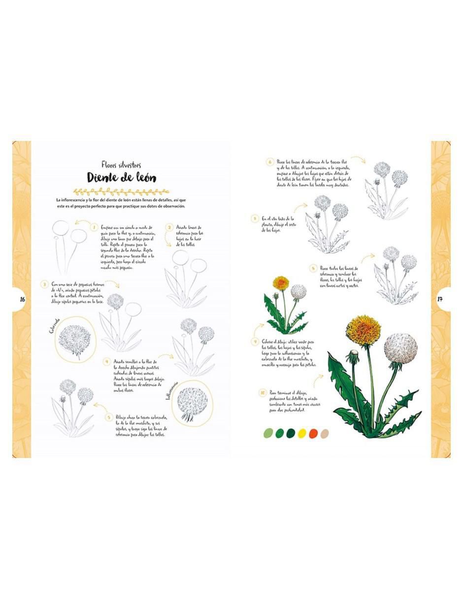 Libro Dibujar en 10 pasos: Flores y plantas silvestres de Justine Lecouffe 3