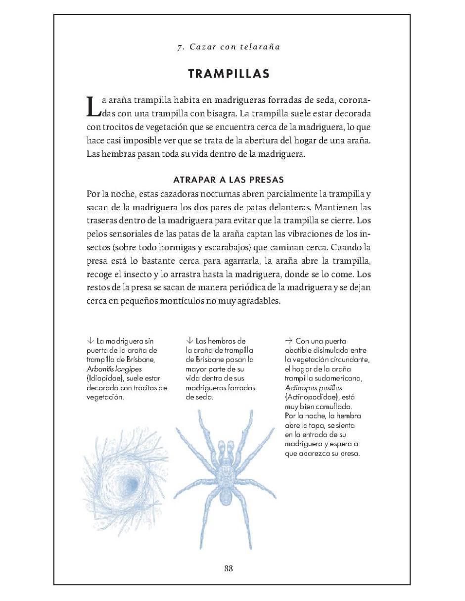Pequeño libro de la naturaleza. Arañas de Simon D. Pollard 4