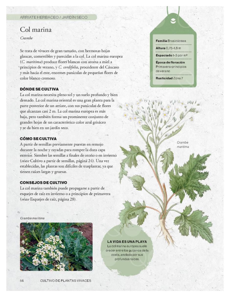 Libro Cultivar plantas vivaces - Guía de jardinería de Richard Wilford/Royal Botanic Gardens/Kew 2