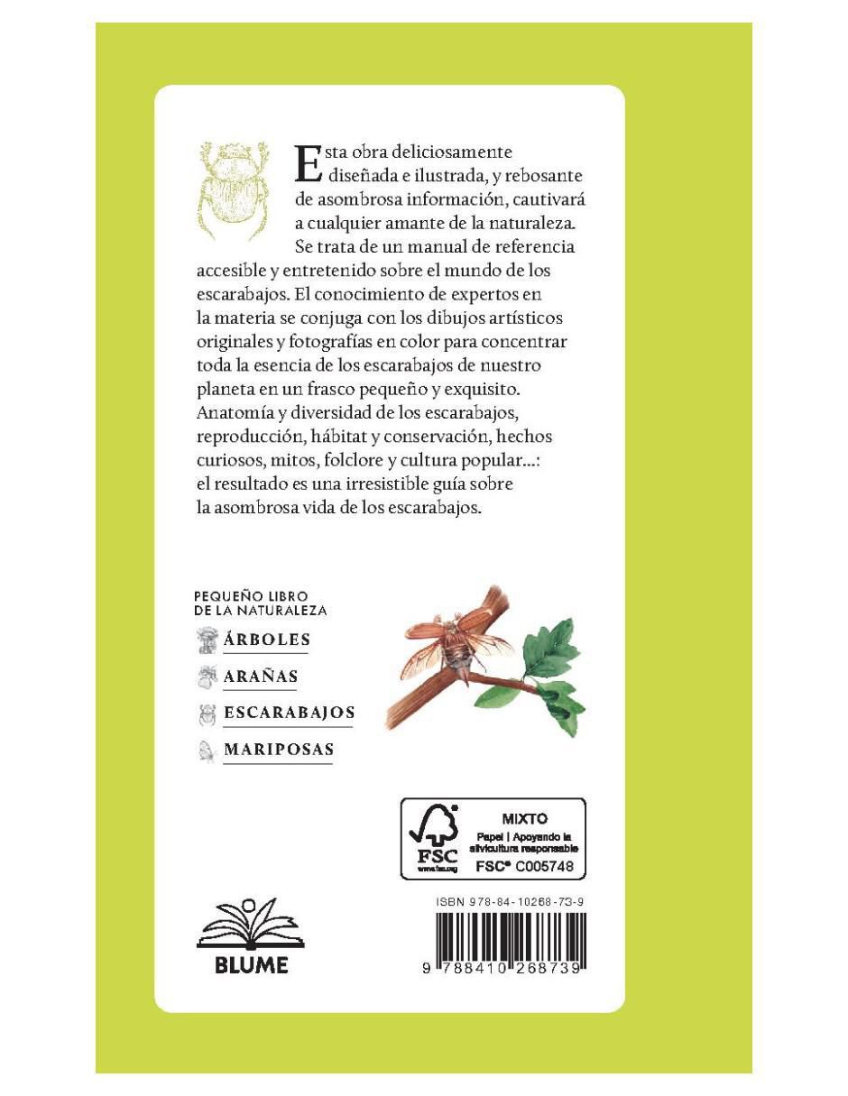 Pequeño libro de la naturaleza. Escarabajos de Arthur V. Evans 3