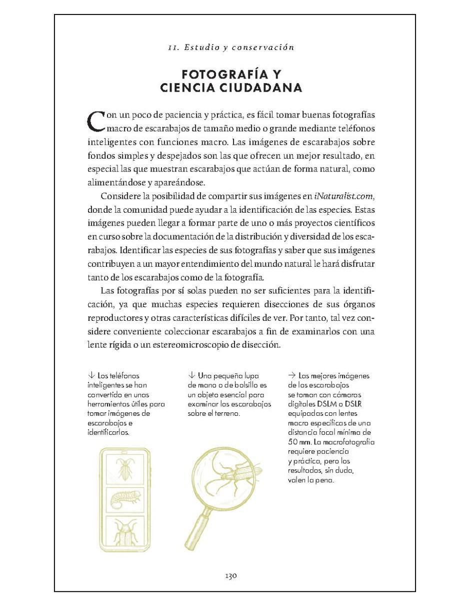 Pequeño libro de la naturaleza. Escarabajos de Arthur V. Evans 4