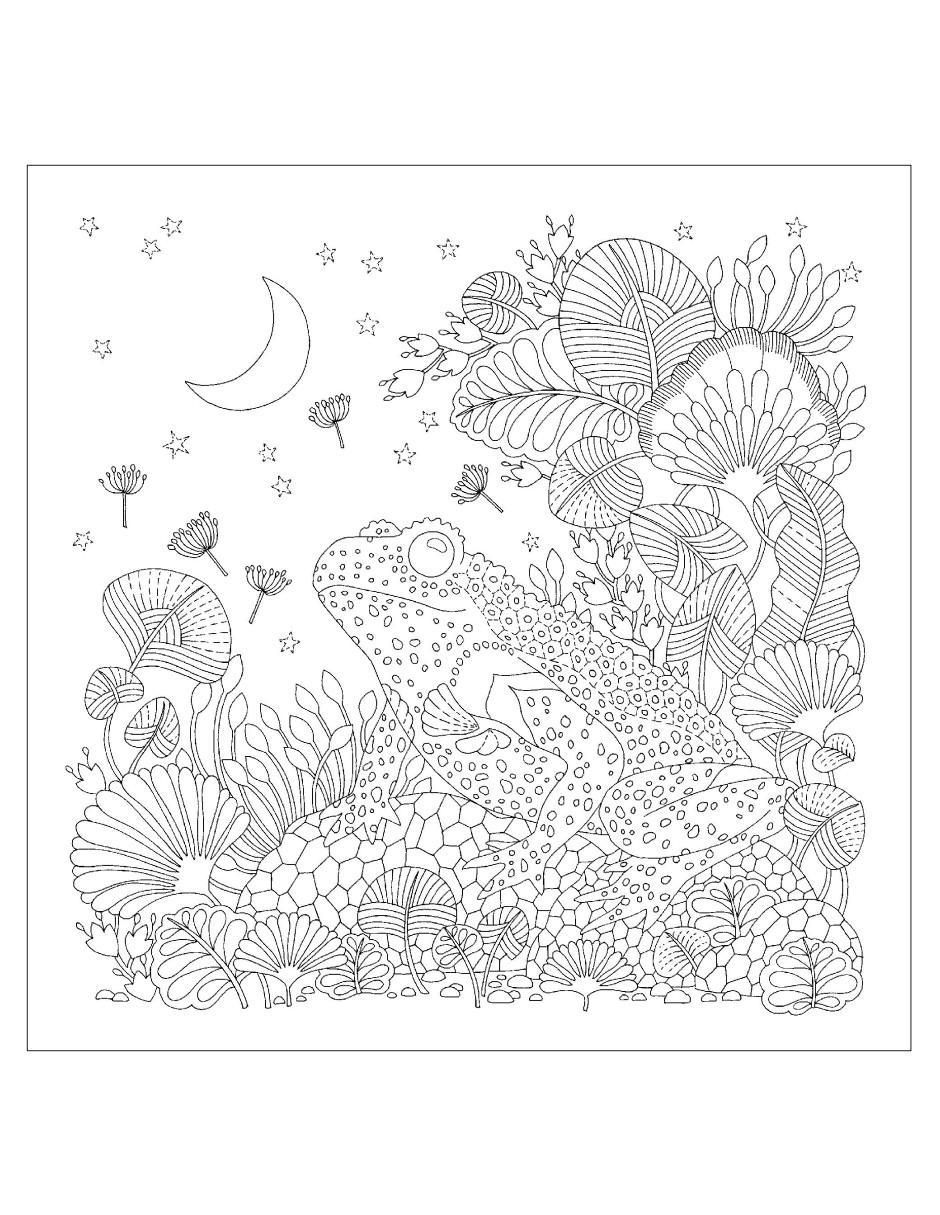 Libro Un planeta precioso. Una aventura para colorear de Millie Marotta 4