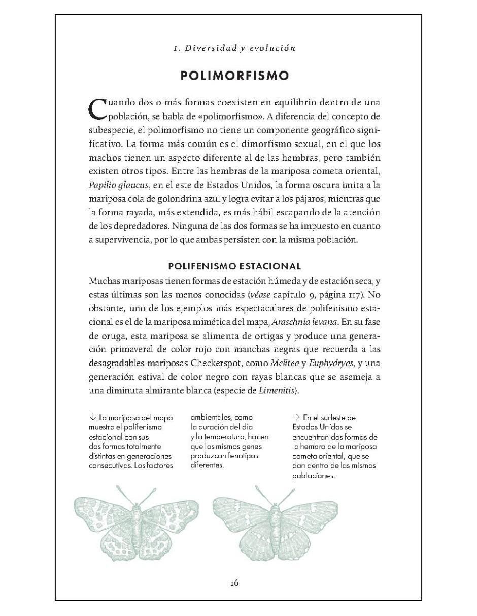 Pequeño libro de la naturaleza. Mariposas de Andrei Sourakov/Alexandra A. Sourakov 5