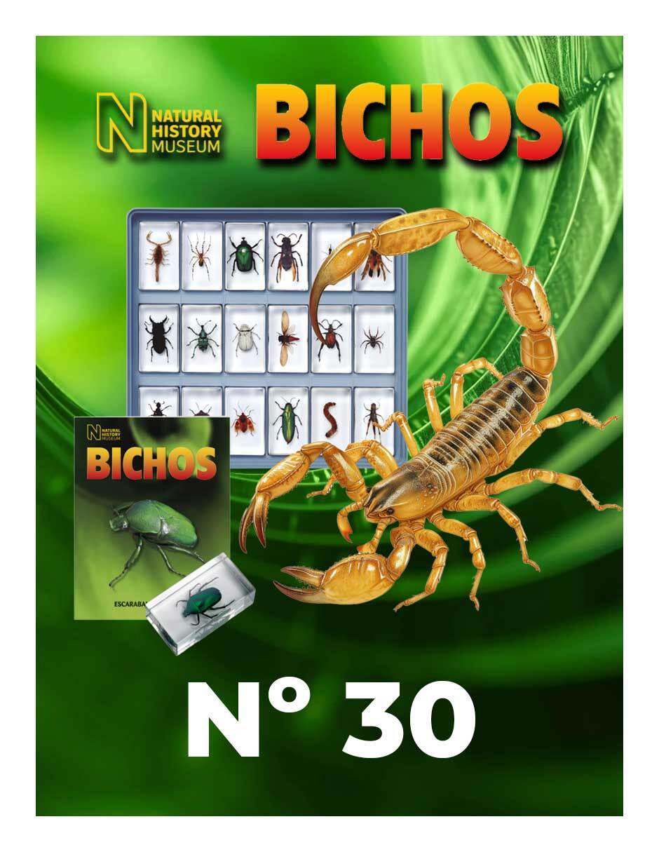 Coleccionable Bichos 0030