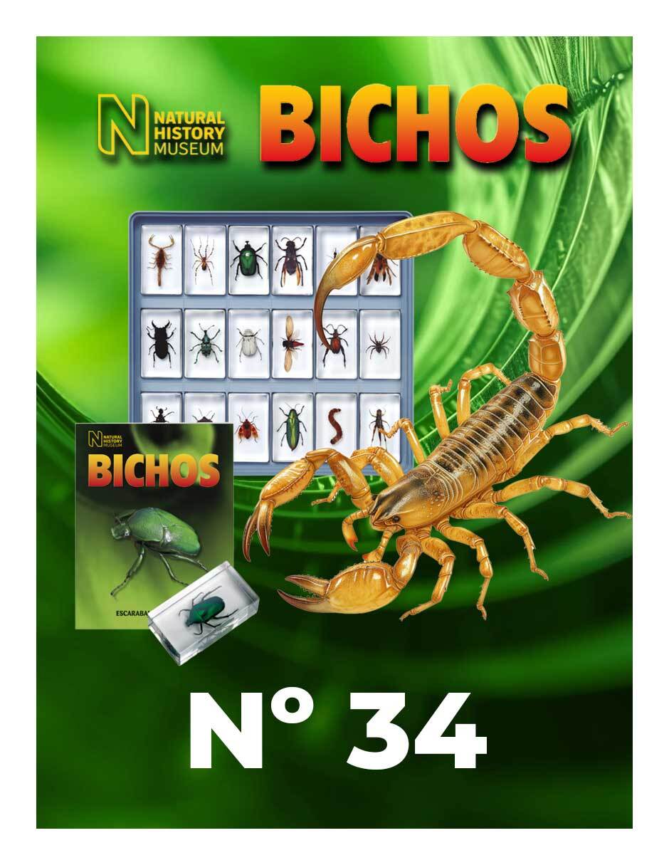 Coleccionable Bichos No. 34 Coleccionable Bichos No. 34