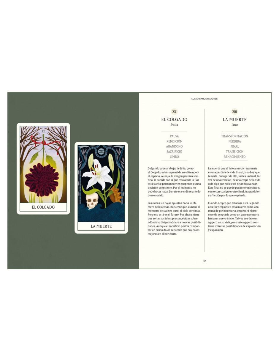 Libro Tarot floral. Manual y baraja de 78 cartas de Diana McMahon Collis 4