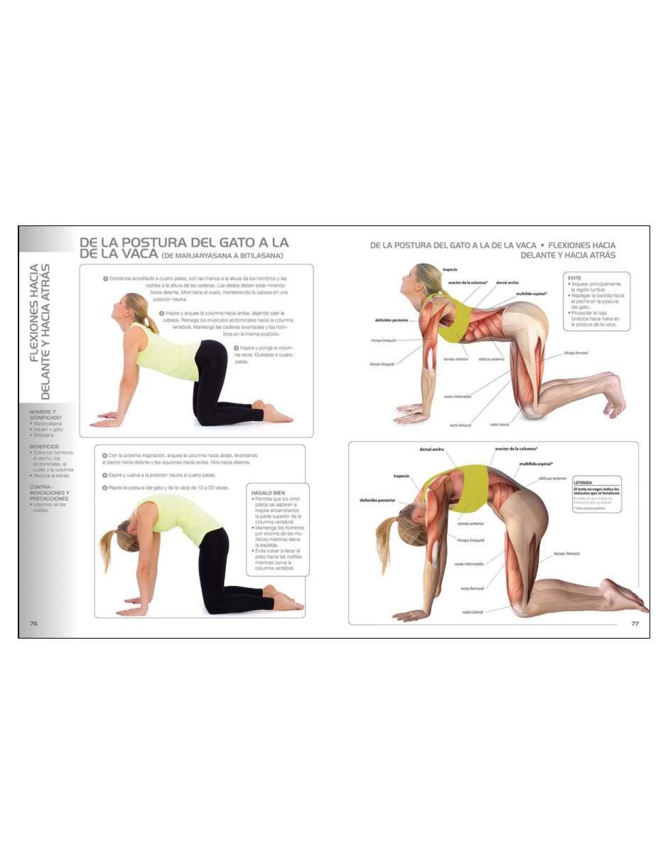 Libro Yoga para Principiantes. Guía Ilustrada de la técnicas y posturas básicas de Lisa Purcell 3