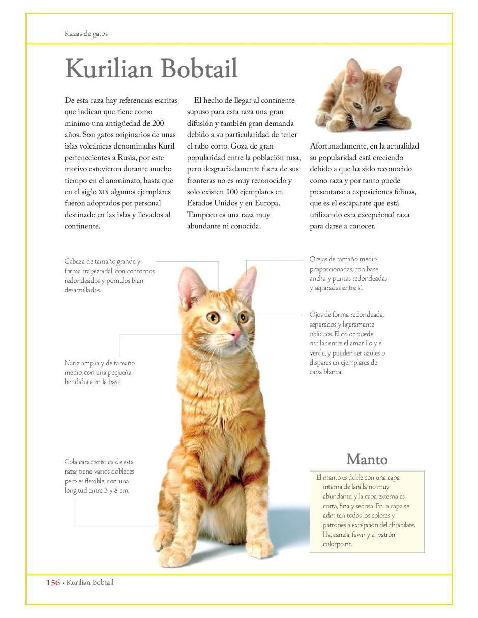 Libro Enciclopedia de las Razas de Gatos de Consuelo Martín Comps 2