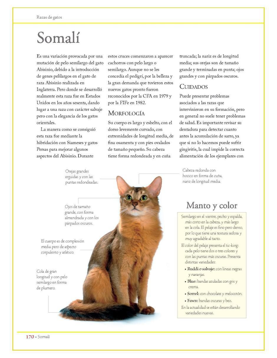 Libro Enciclopedia de las Razas de Gatos de Consuelo Martín Comps 3