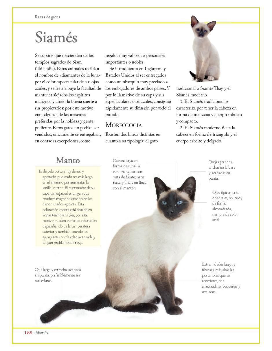 Libro Enciclopedia de las Razas de Gatos de Consuelo Martín Comps 4