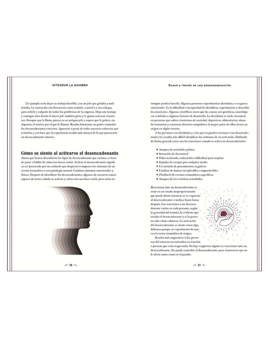Libro Integrar la sombra. Su Guía Personal de Indigo Flores 3