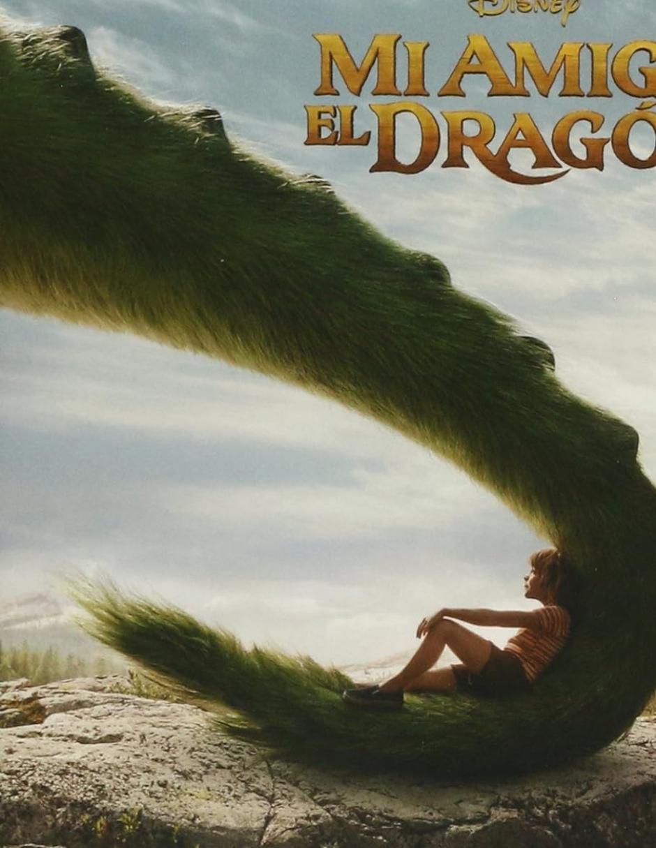 Mi amigo el Dragón estándar 2