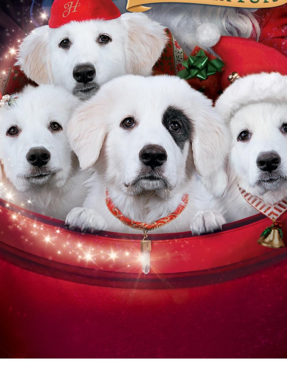 Santa Paws 2: Los cachorros de Santa estándar 2