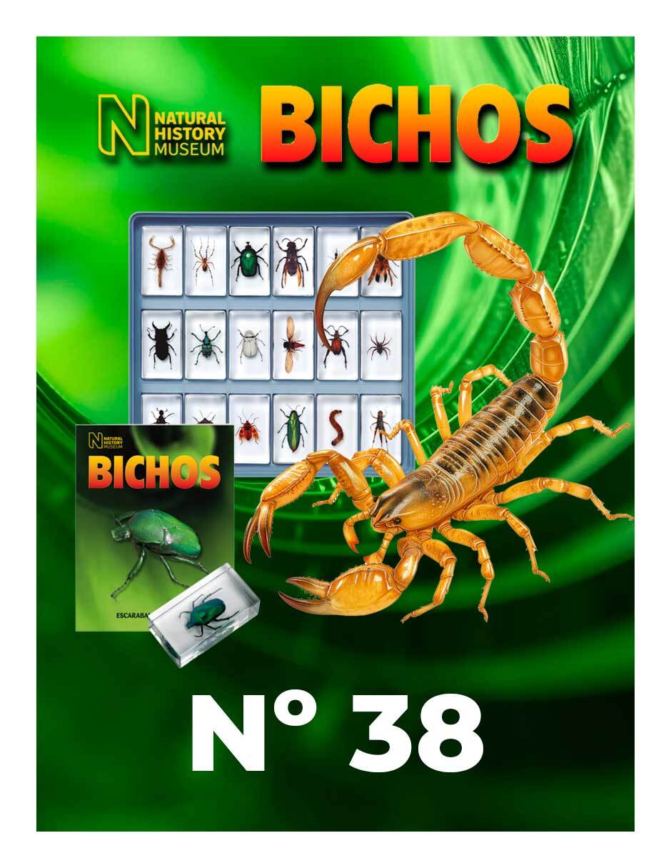 Coleccionable Bichos no. 38 Coleccionable Bichos no. 38