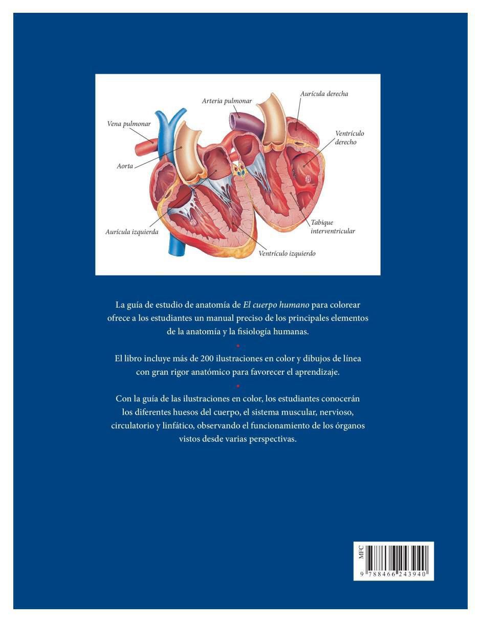 Libro El Cuerpo Humano. Guía de estudio de Anatomía para Colorear de Alberto Jiménez García 2