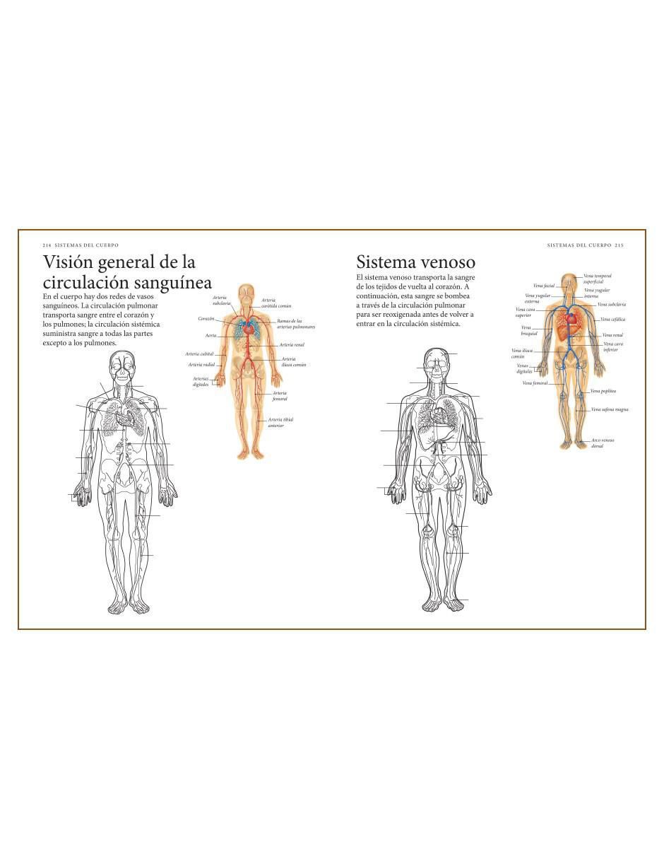 Libro El Cuerpo Humano. Guía de estudio de Anatomía para Colorear de Alberto Jiménez García 3