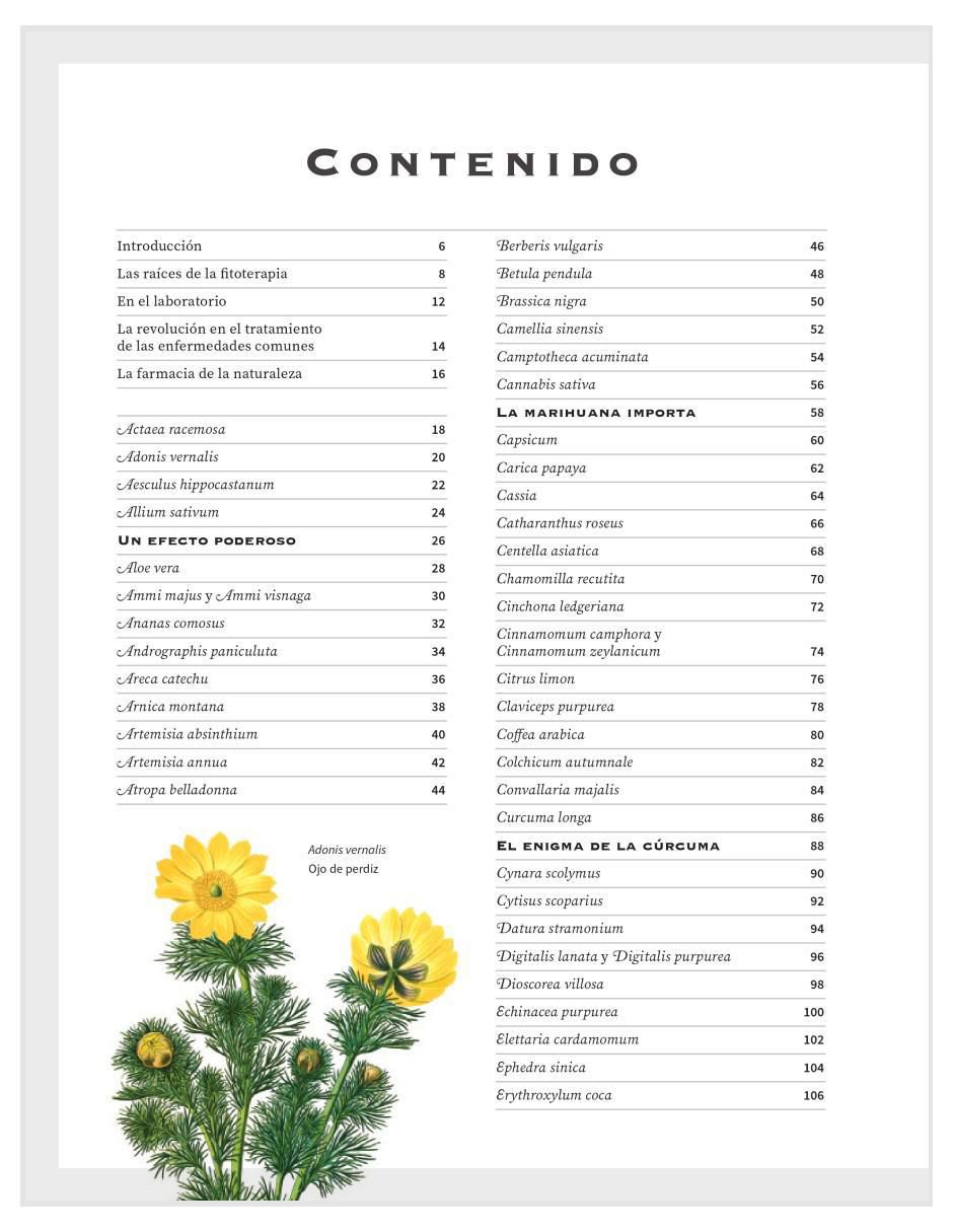 Libro Botanicum Medicinale Herbario Contemporáneo de Plantas Medicinales de Catherine Whitiock 2