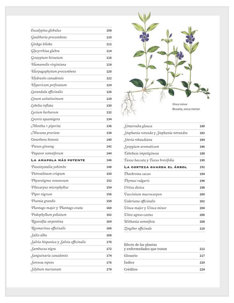 Libro Botanicum Medicinale Herbario Contemporáneo de Plantas Medicinales de Catherine Whitiock 3