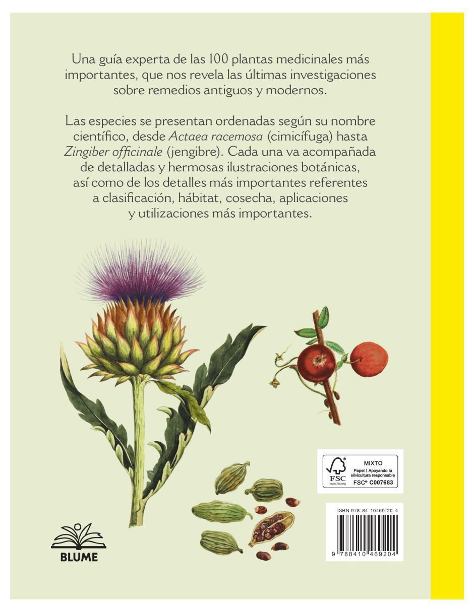 Libro Botanicum Medicinale Herbario Contemporáneo de Plantas Medicinales de Catherine Whitiock 6