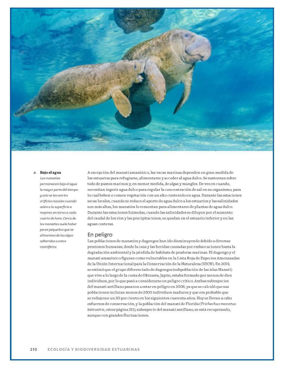 Libro Ríos, Estuarios y Deltas del Mundo y sus Ecosistemas de Jim Best/Stephen Darby et al 2