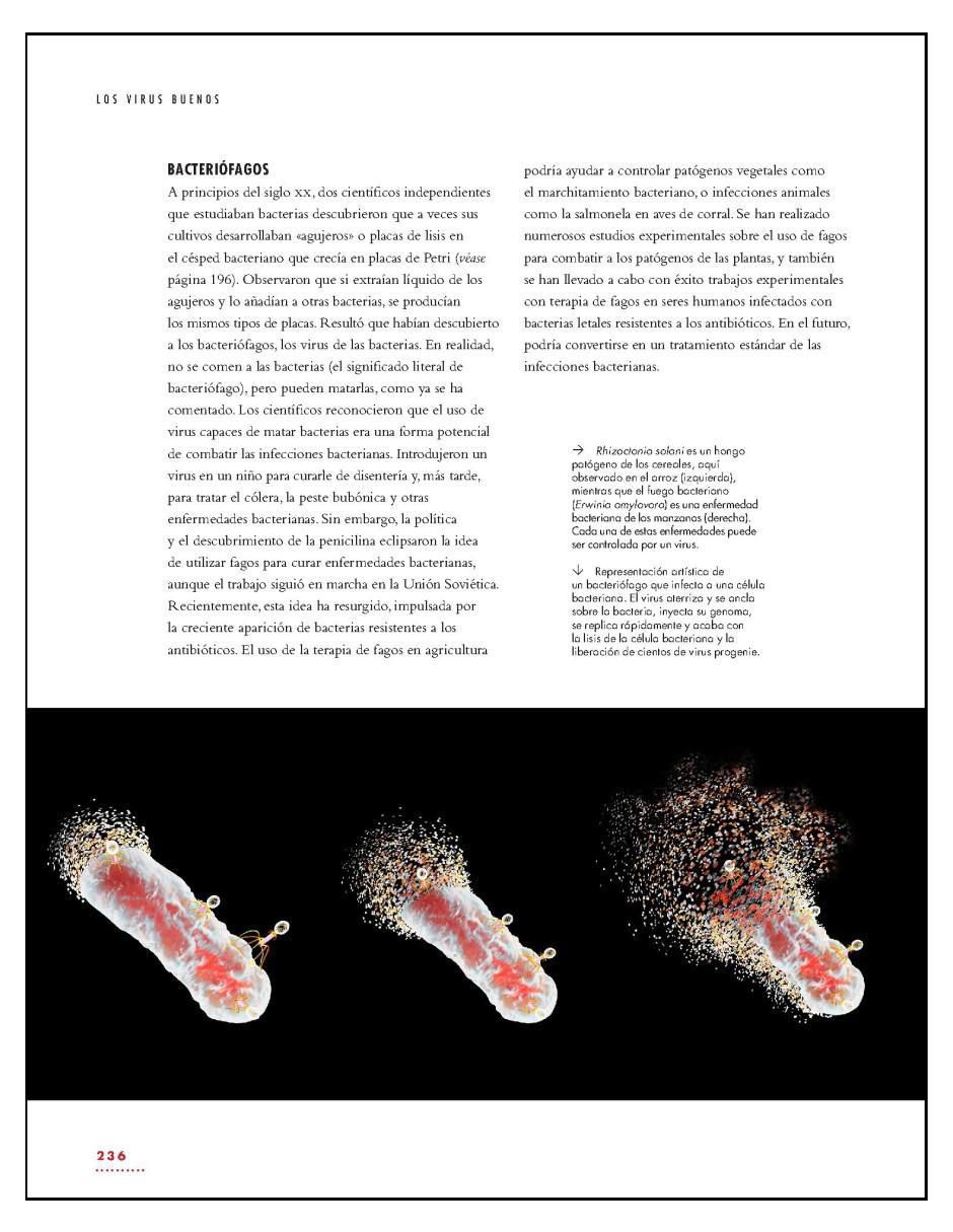 Libro La vida de los Virus de Marilyn J. Roossinck 6