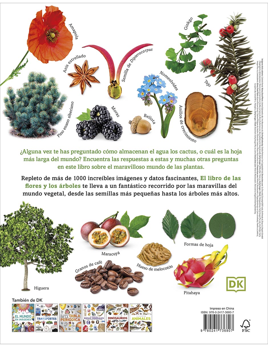 Libro El libro de las flores y los árboles. Y otros tesoros del reino vegetal de 2