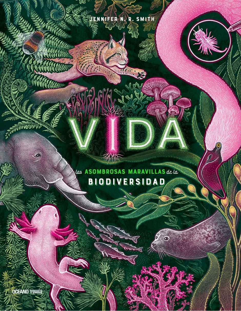 Libro Vida: Las Asombrosas Maravillas de la Biodiversidad de Jennifer Smith