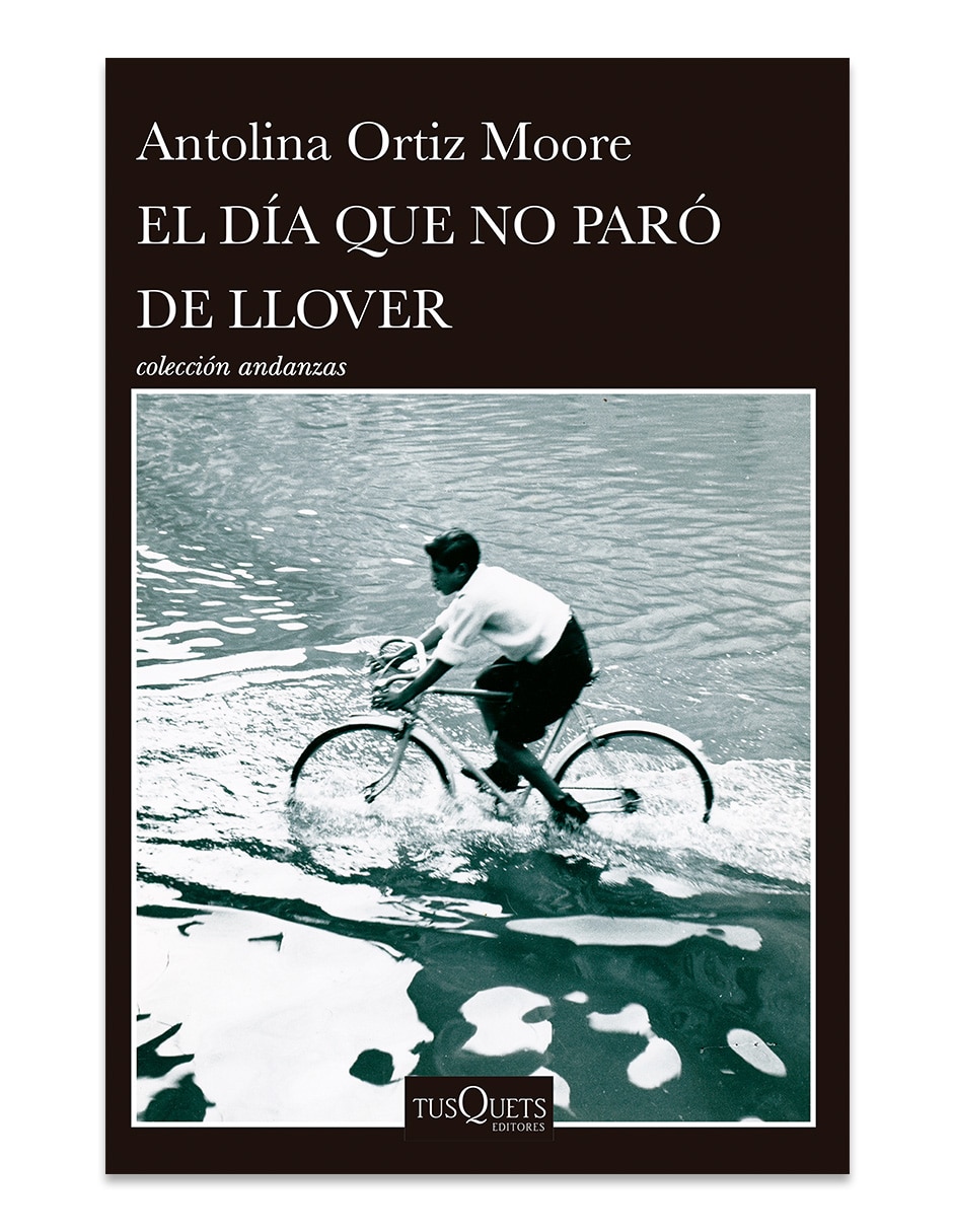 Libro El Dia Que No Paro De Llover de Antolina Ortiz Moore Libro El Dia Que No Paro De Llover de Antolina Ortiz Moore