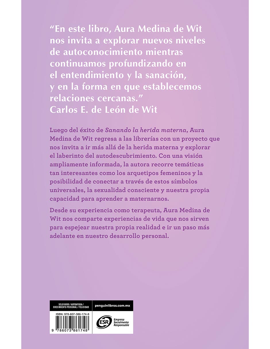 Libro Mas Alla De La Herida Materna de Aura Medina De Wit 2