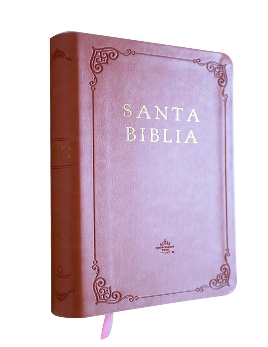 Libro Santa Biblia Reina Valera 1960 de Reina Valera 3