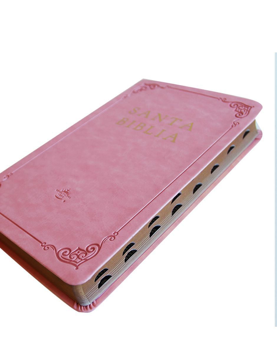 Libro Santa Biblia Reina Valera 1960 de Reina Valera 4