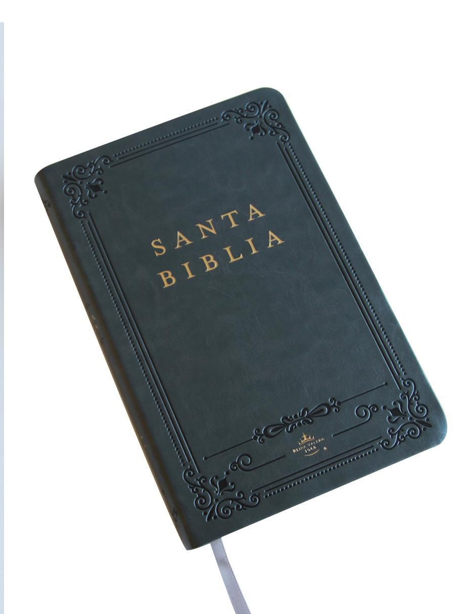 Libro Biblia RVR 1960 letra grande Origen 3