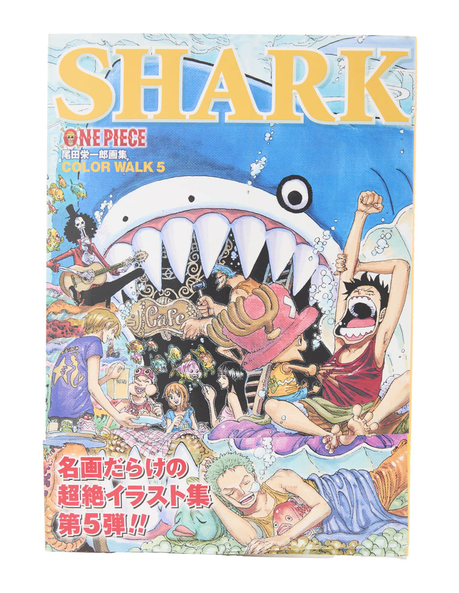 Libro de ilustraciones One Piece Color Walk 5