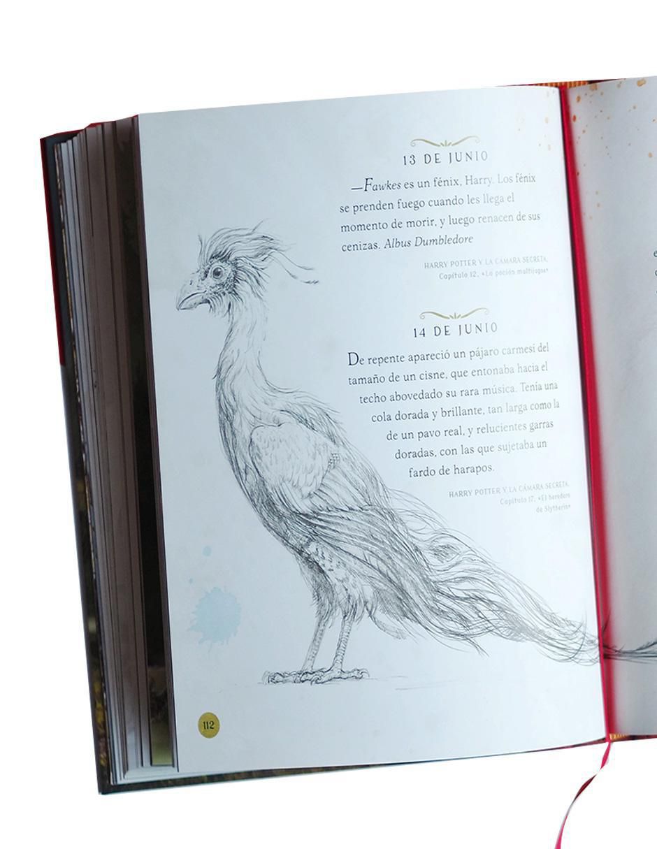 Libro Harry Potter Un Año Mágico de J.K. Rowling/Jim Kay 5