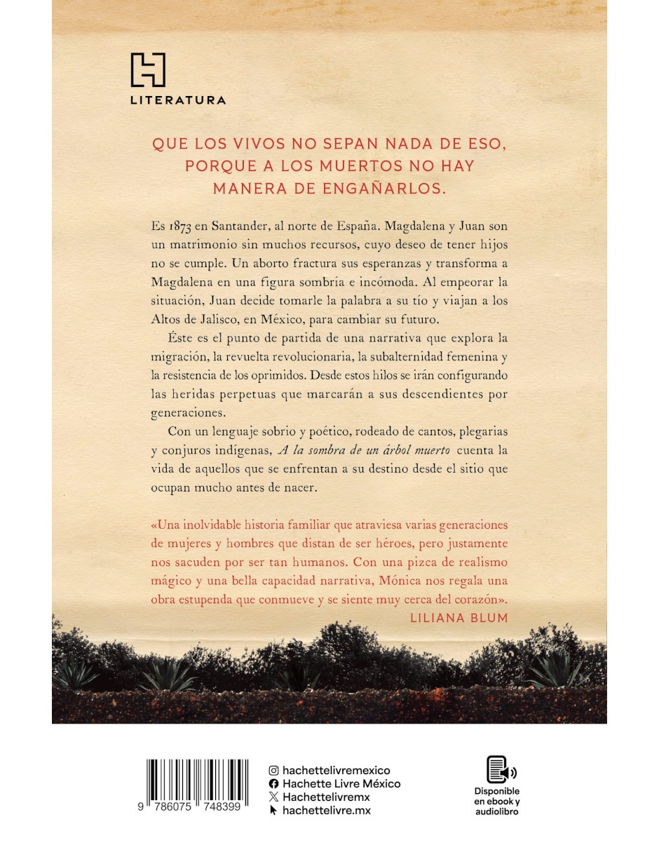 Libro A La Sombra De Un Árbol Muerto de Mónica Rojas Rubín 2