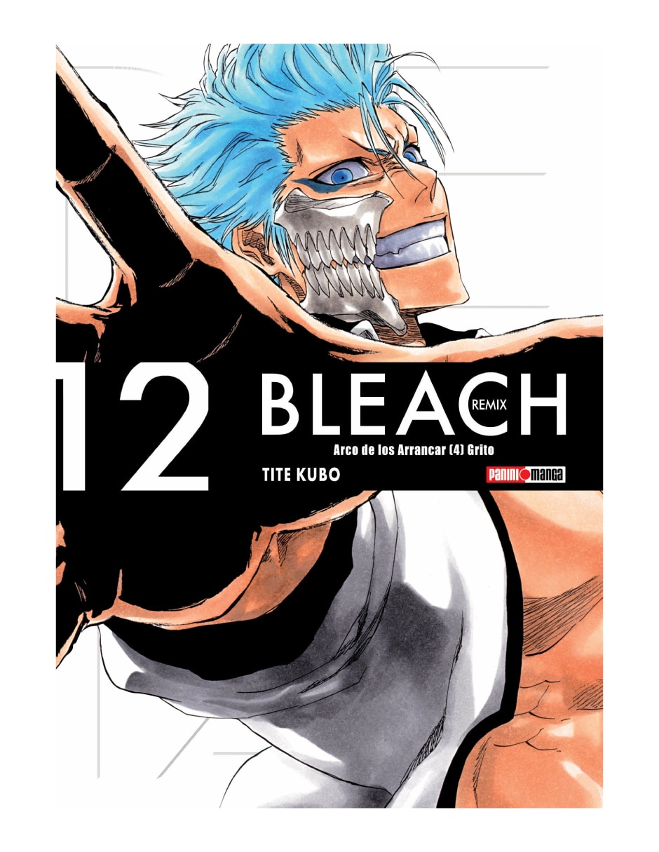 Manga Bleach Remix N.12