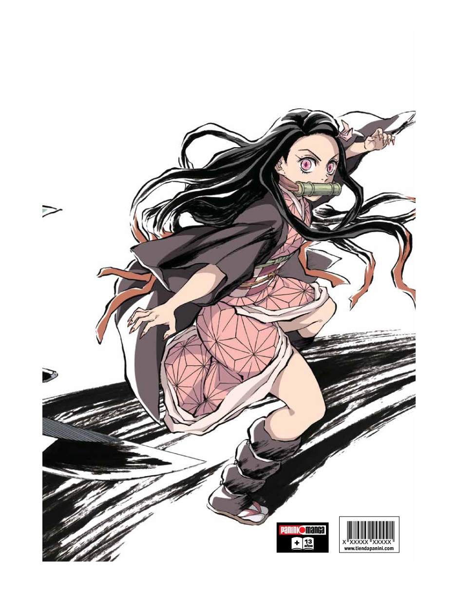 Manga El arte de Demon Slayer Kimetsu No Yaiba El Anime N.1 2