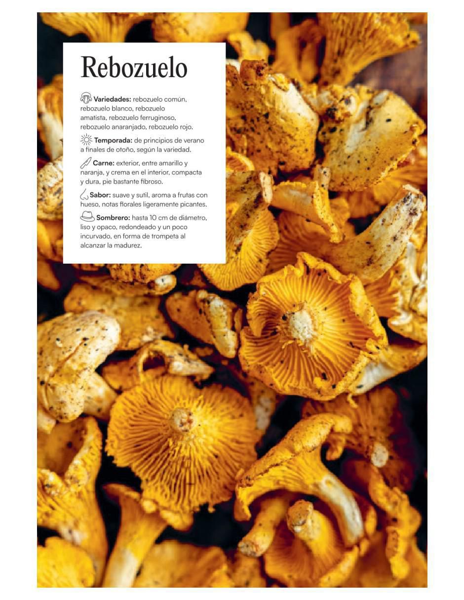 Libro Setas Y Hongos Exquisitos de Emilie Franzo 4